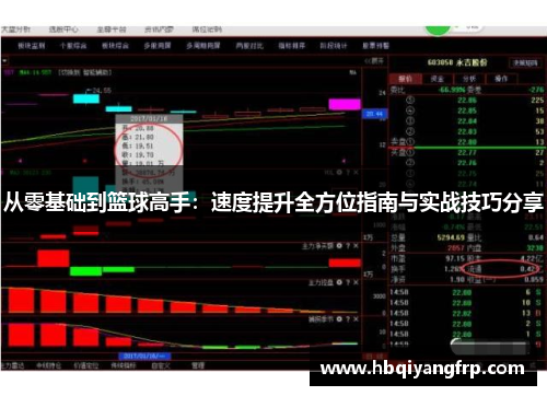 从零基础到篮球高手：速度提升全方位指南与实战技巧分享